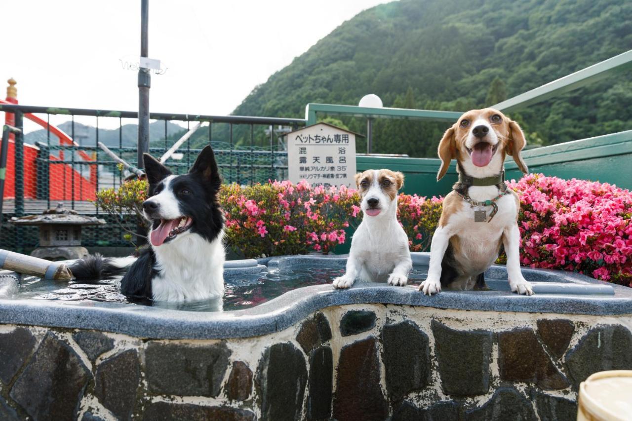 Kinugawa Kokusai Hotel نيكو المظهر الخارجي الصورة