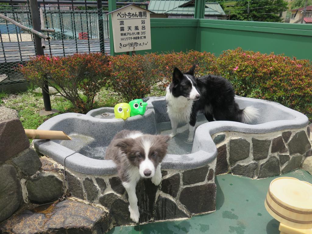 Kinugawa Kokusai Hotel نيكو المظهر الخارجي الصورة